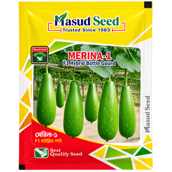 মেরিনা ১ হাইব্রিড লাউ Hybrid Bottle Gourd Marina 1