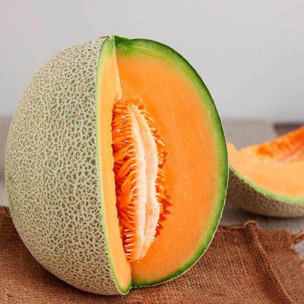 রোমিও রকমেলন বীজ  LT Romeo F1 Melon Seed