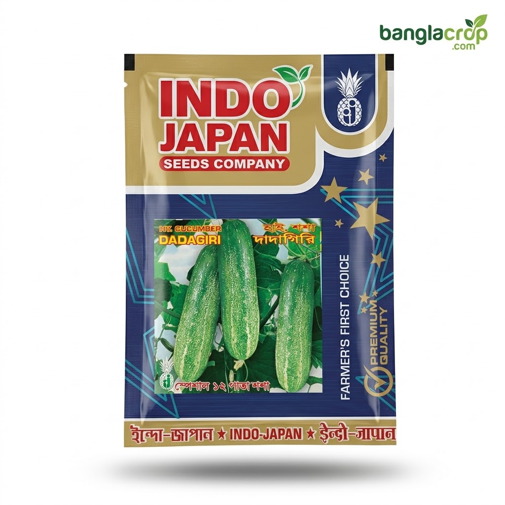 12 pata indo japan