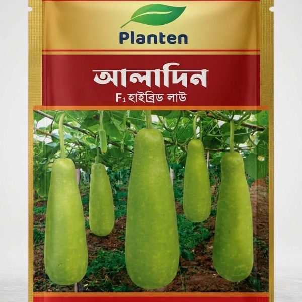 আলাদীন লাউ প্লানটেন Aladin Planten