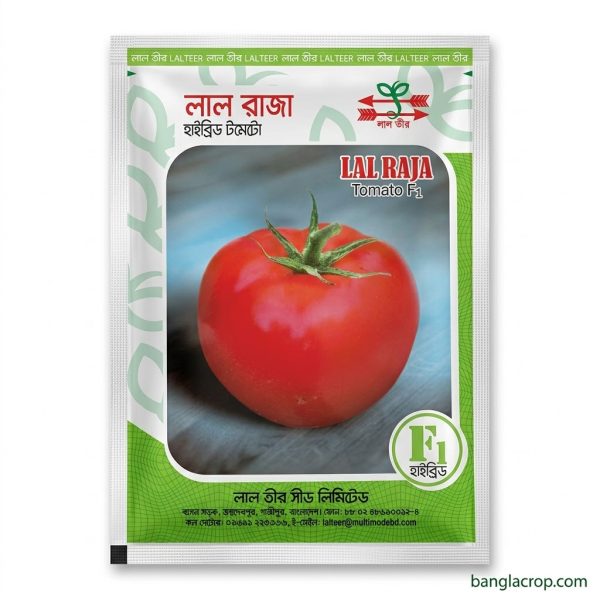 হাইব্রিড টমেটো লাল রাজা লালতীর Hybrid Tomato Lal Raja Lalteer