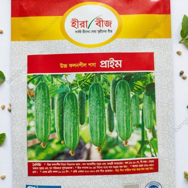 ক্রস শসা