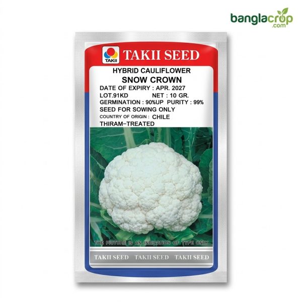 হাইব্রিড ফুলকপি স্নো ড্রাগন টাকী সীডস Hybrid Cauliflower Takii Seed