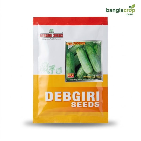 বারপাতা শসা দেবগিরি Baropata Cucumber Debgiri