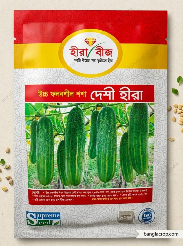 deshi sosha