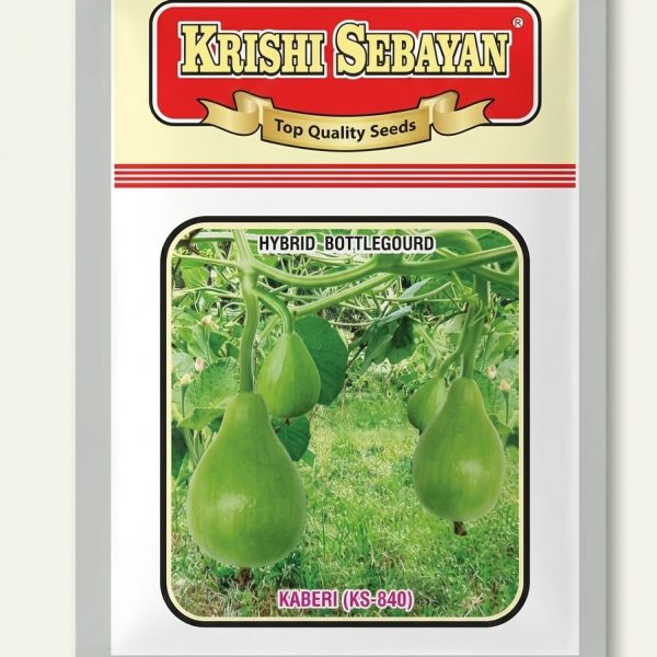 গোল লাউ কৃষিসেবায়ন