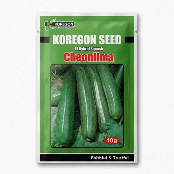 স্কোয়াশ কোরিয়ান ইউনাইটেড সীডস Squash United Seeds